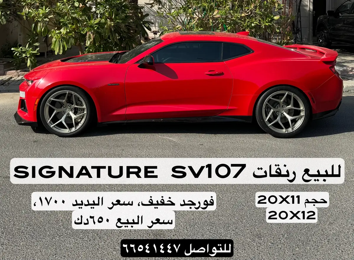 رنقات سقنجر sv107